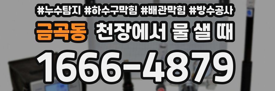 금곡동 천장에서 물 샐 때