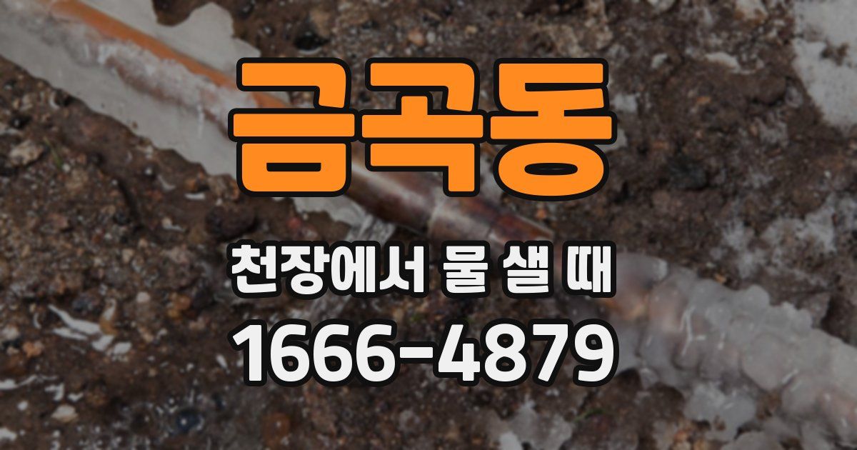 금곡동 천장에서 물 샐 때
