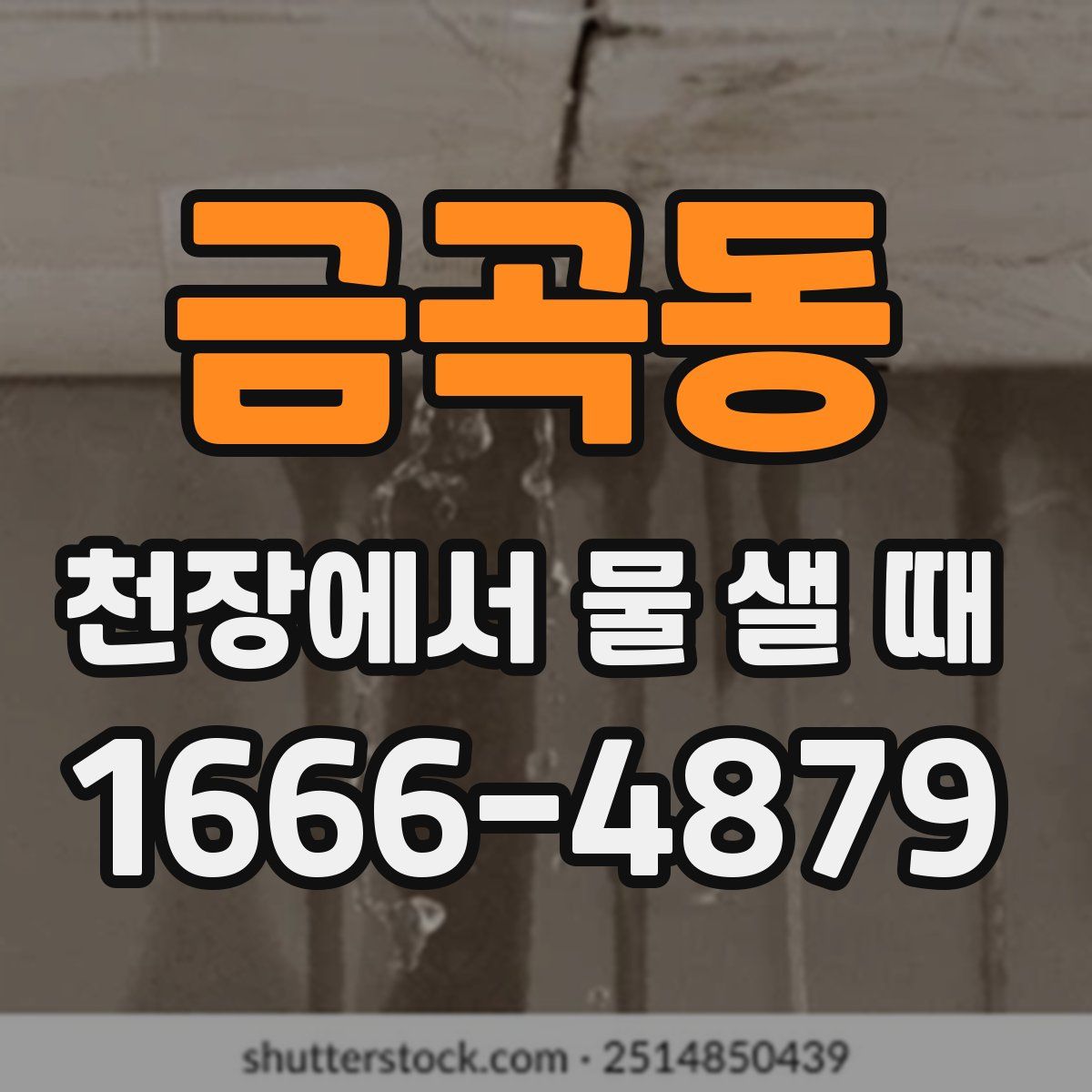 금곡동 천장에서 물 샐 때