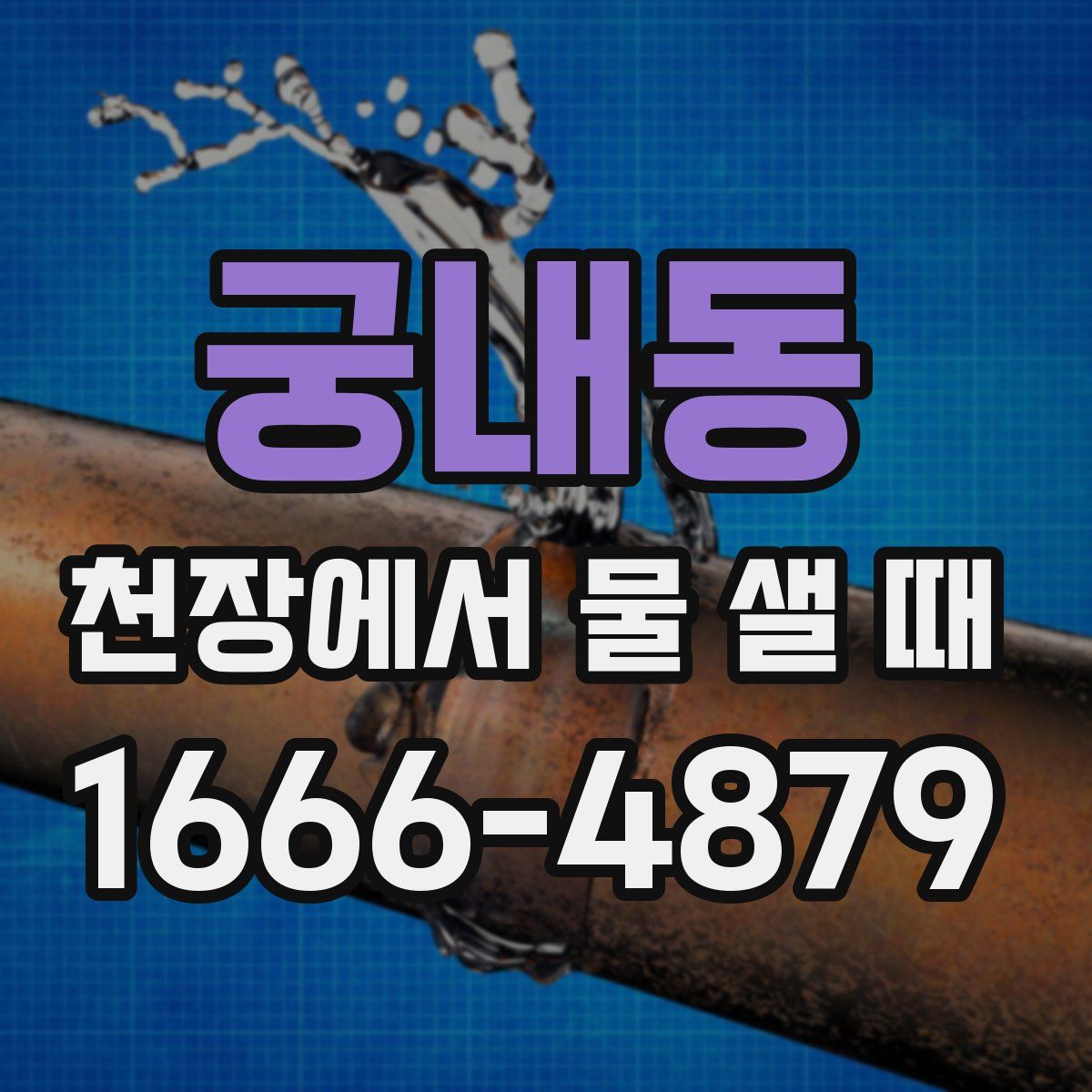 궁내동 천장에서 물 샐 때