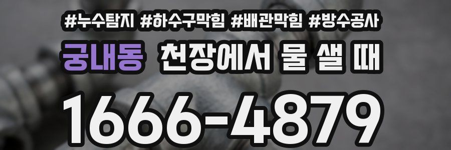 궁내동 천장에서 물 샐 때