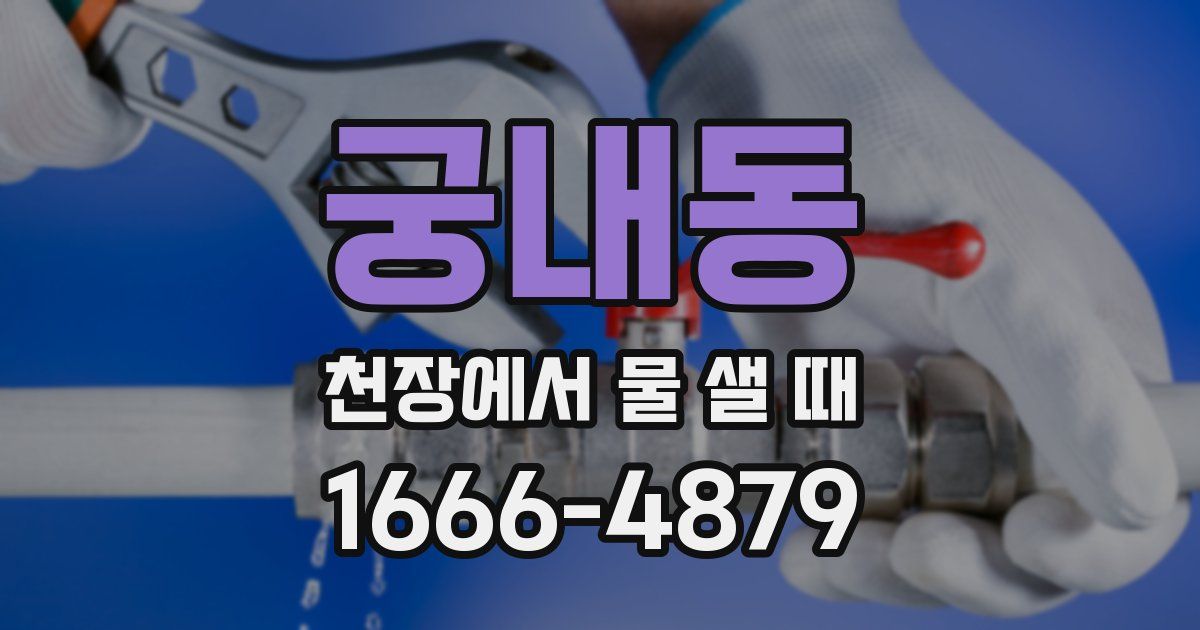 궁내동 천장에서 물 샐 때