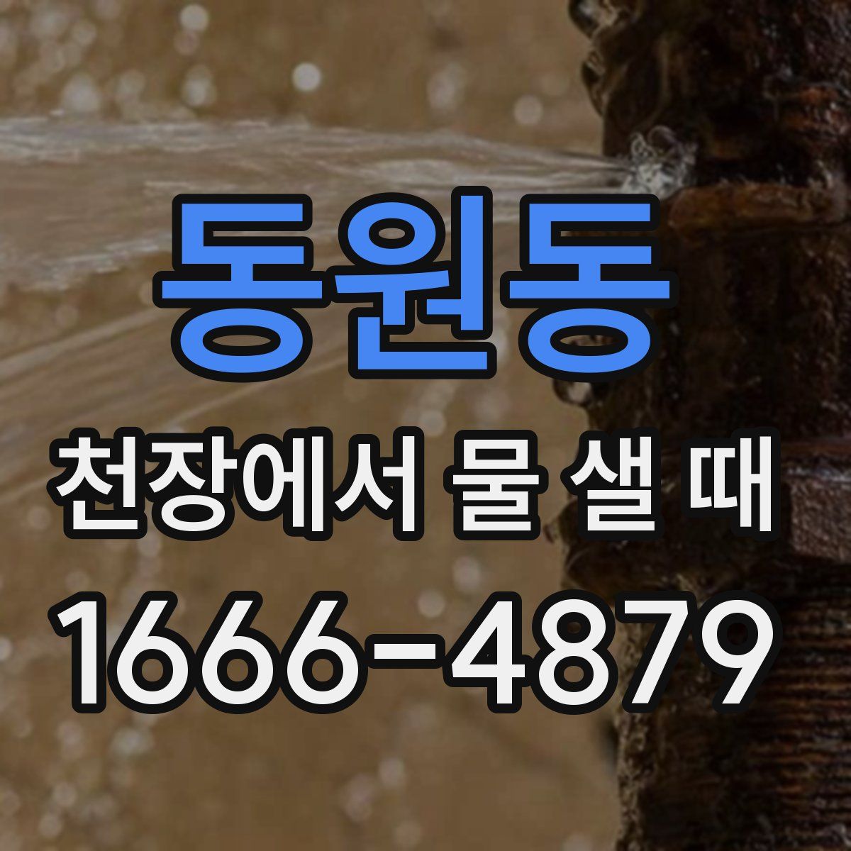동원동 천장에서 물 샐 때