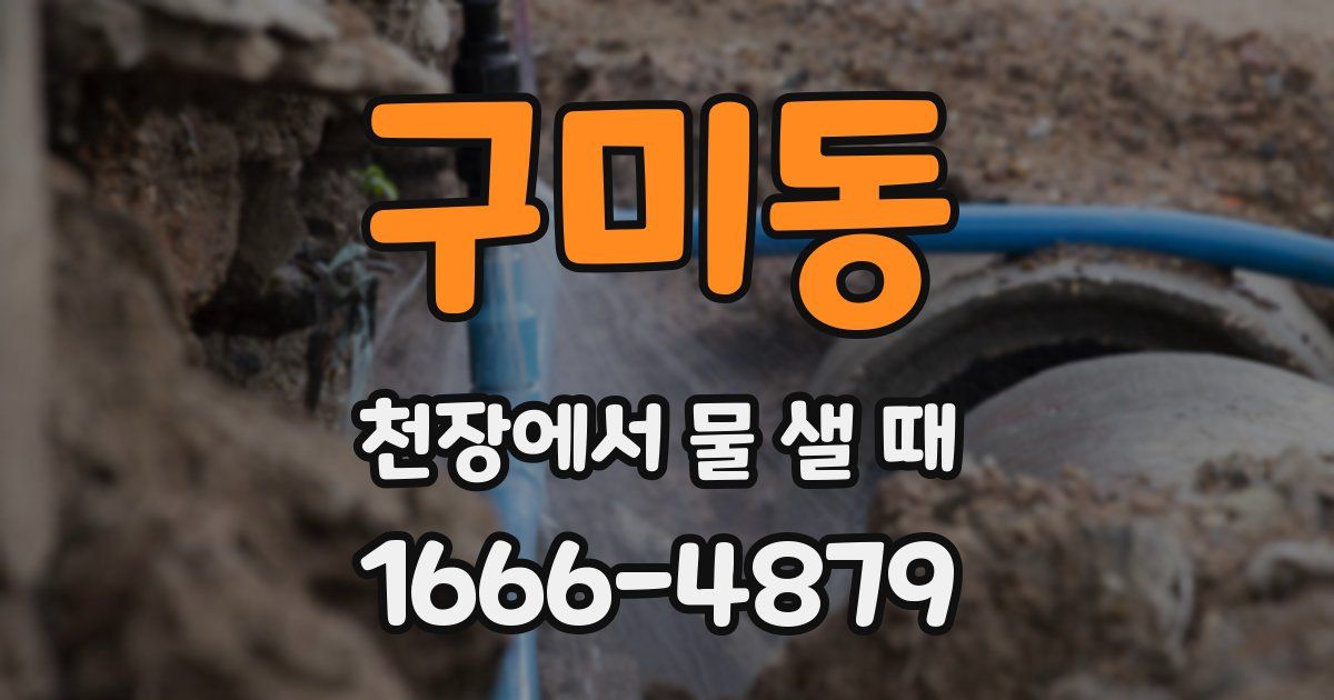 구미동 천장에서 물 샐 때