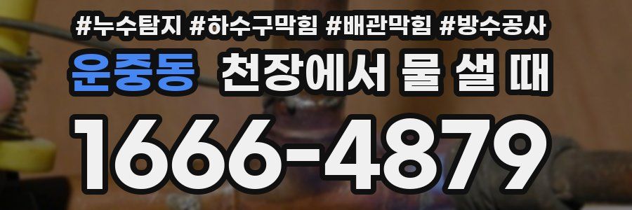 운중동 천장에서 물 샐 때