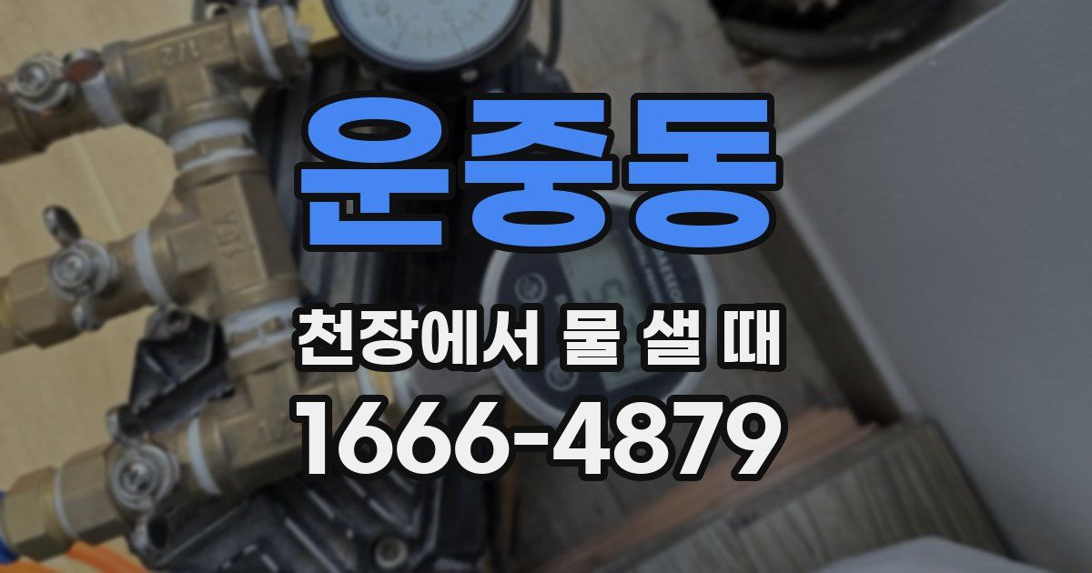 운중동 천장에서 물 샐 때