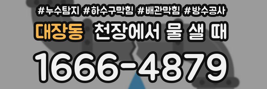 대장동 천장에서 물 샐 때