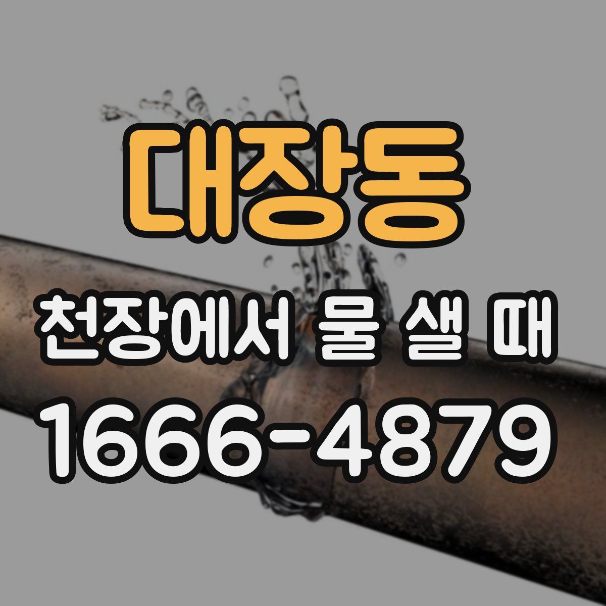 대장동 천장에서 물 샐 때