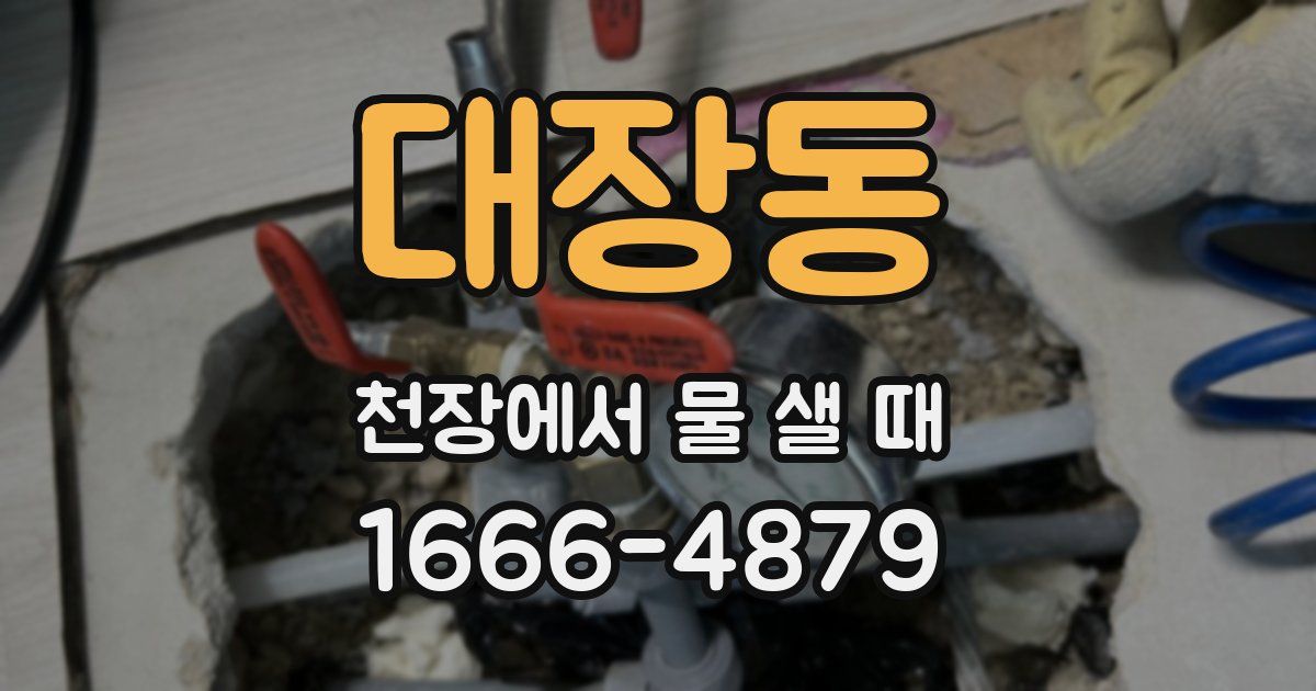 대장동 천장에서 물 샐 때