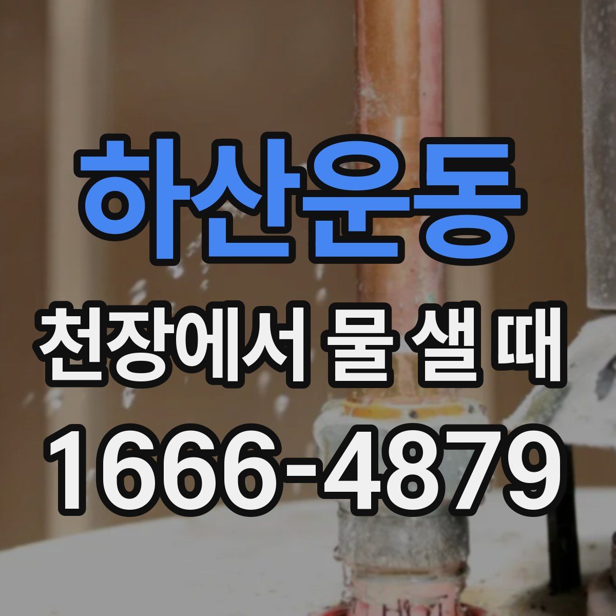 하산운동 천장에서 물 샐 때