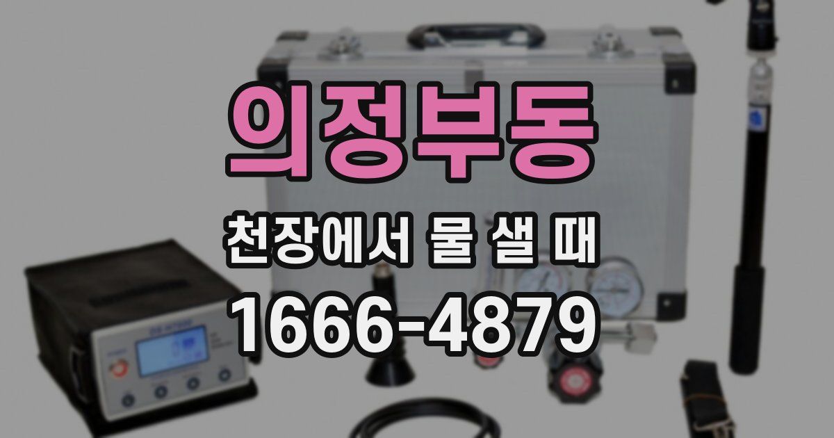 의정부동 천장에서 물 샐 때