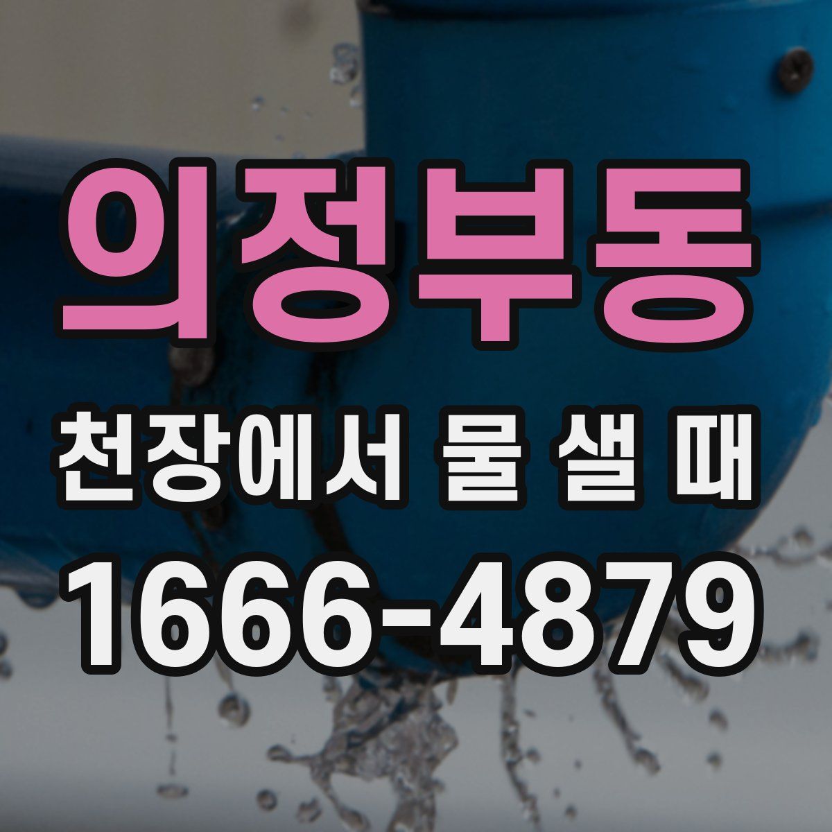 의정부동 천장에서 물 샐 때