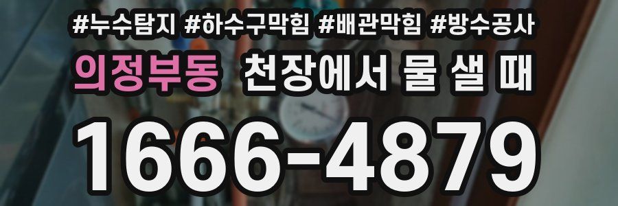 의정부동 천장에서 물 샐 때