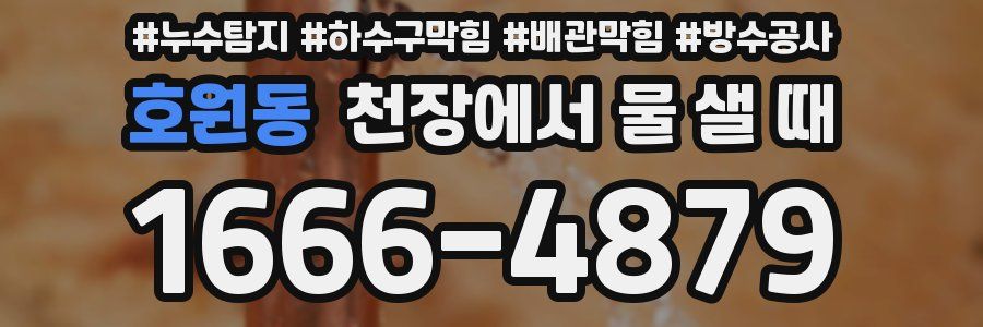 호원동 천장에서 물 샐 때