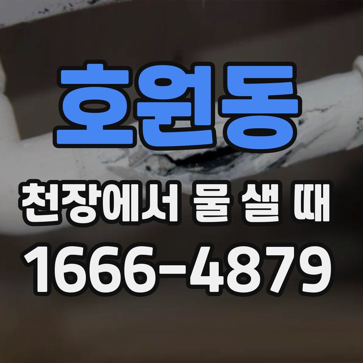 호원동 천장에서 물 샐 때