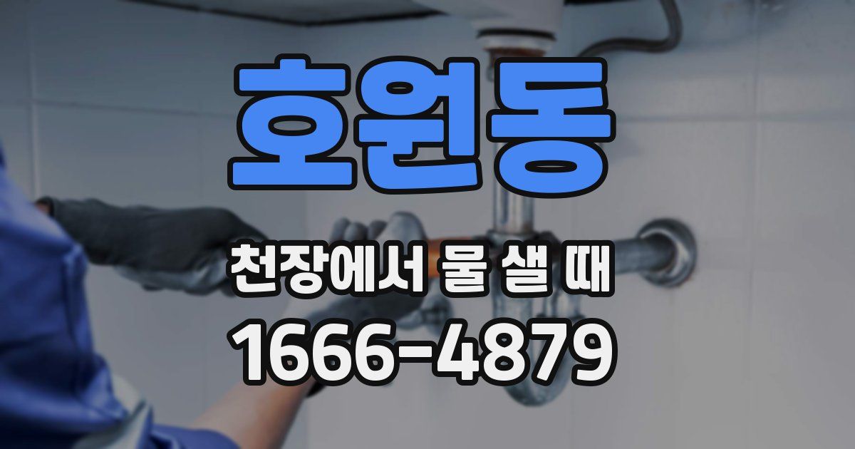 호원동 천장에서 물 샐 때