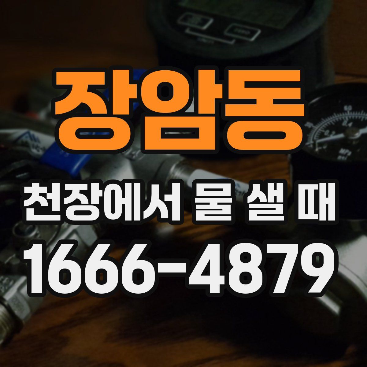장암동 천장에서 물 샐 때