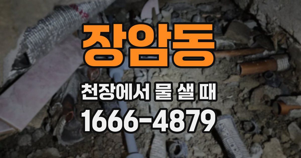 장암동 천장에서 물 샐 때