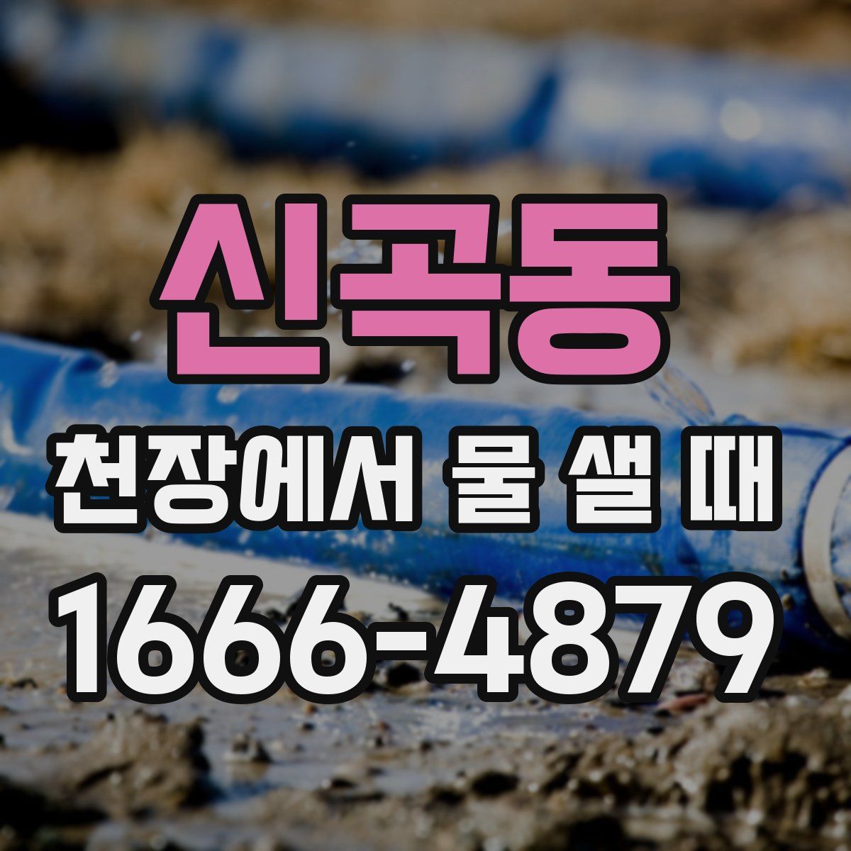 신곡동 천장에서 물 샐 때