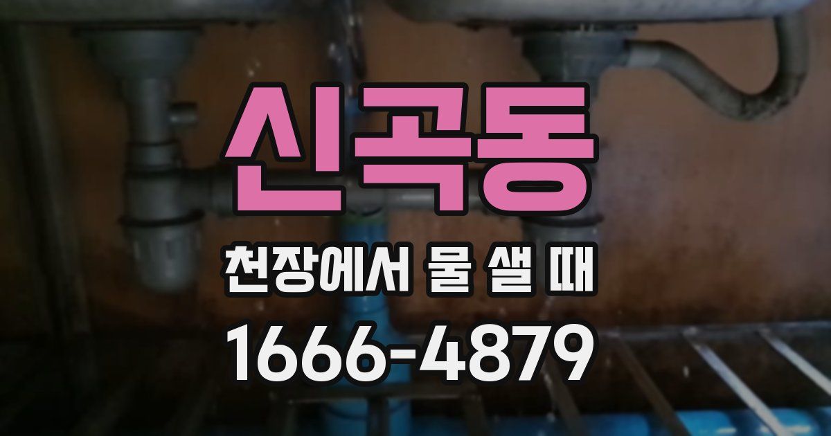 신곡동 천장에서 물 샐 때