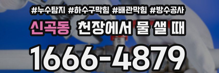 신곡동 천장에서 물 샐 때