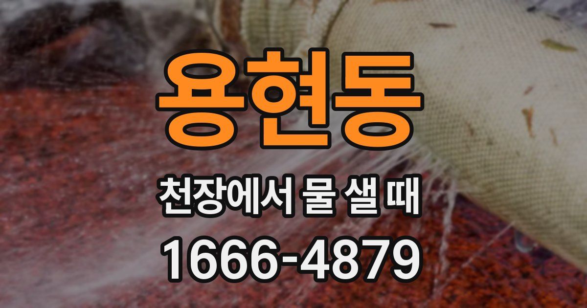 용현동 천장에서 물 샐 때