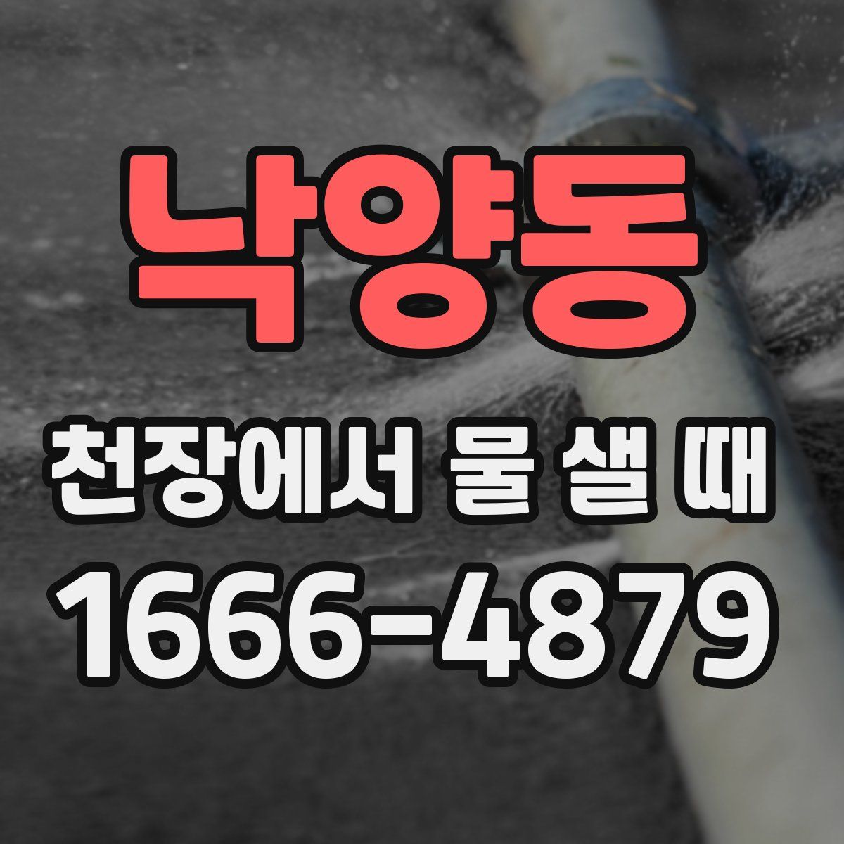 낙양동 천장에서 물 샐 때