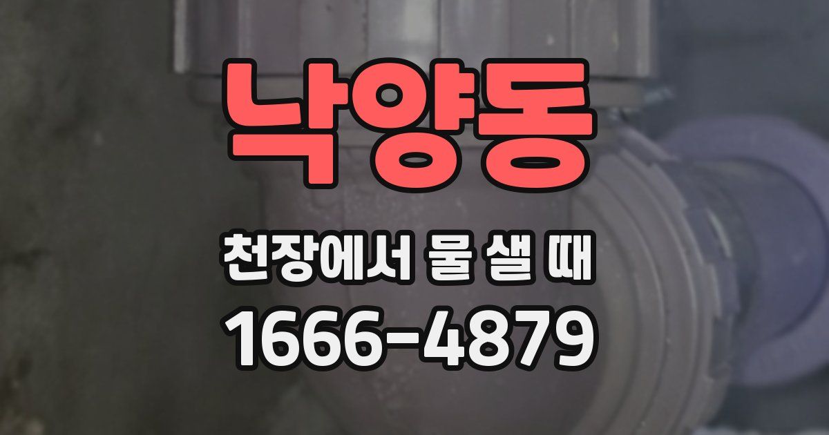 낙양동 천장에서 물 샐 때
