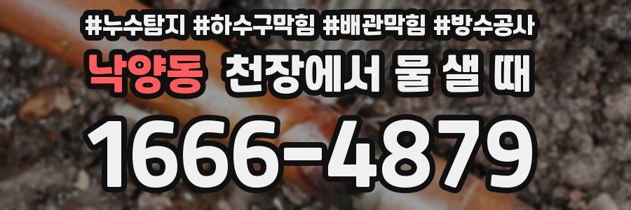 낙양동 천장에서 물 샐 때
