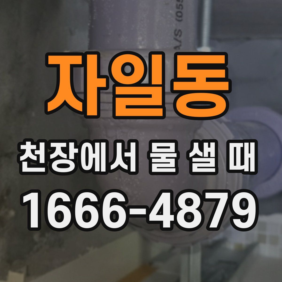 자일동 천장에서 물 샐 때