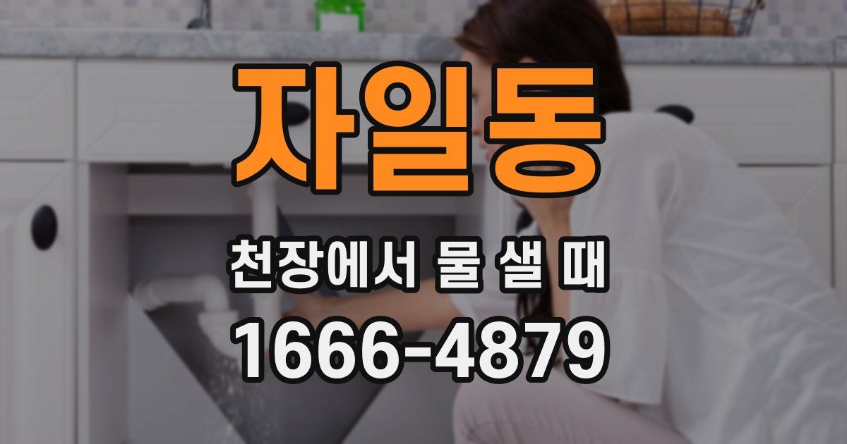 자일동 천장에서 물 샐 때