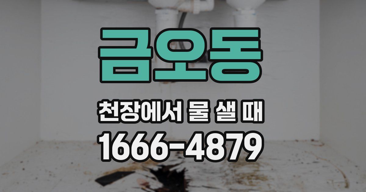 금오동 천장에서 물 샐 때