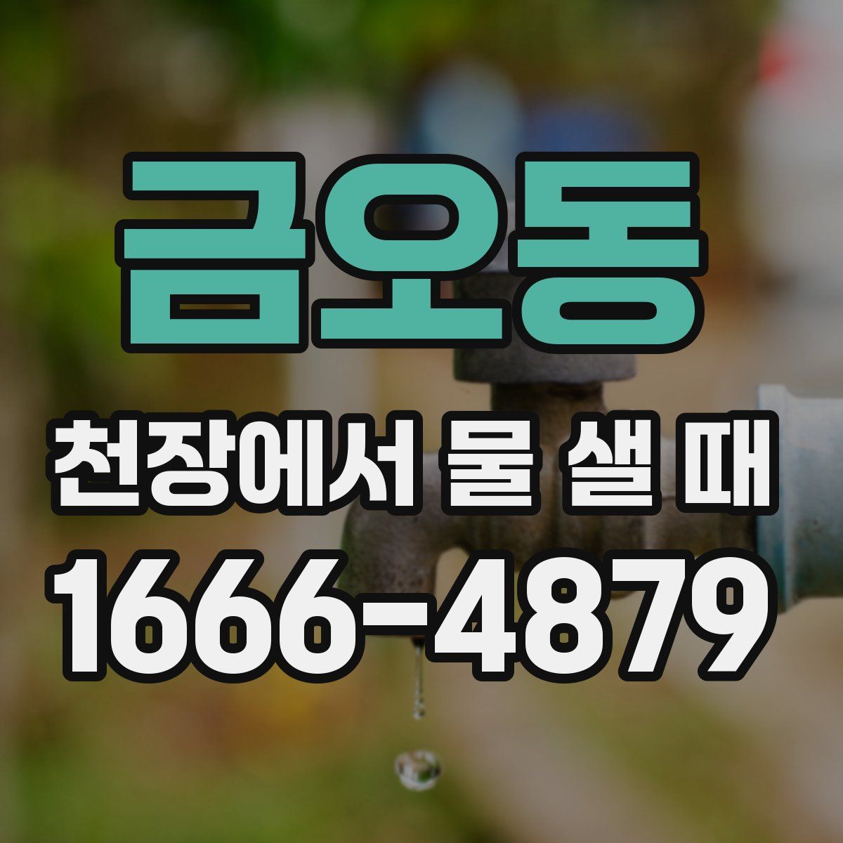 금오동 천장에서 물 샐 때