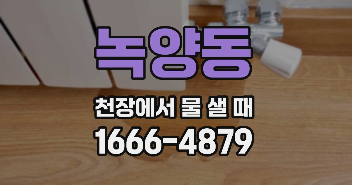 녹양동 천장에서 물 샐 때
