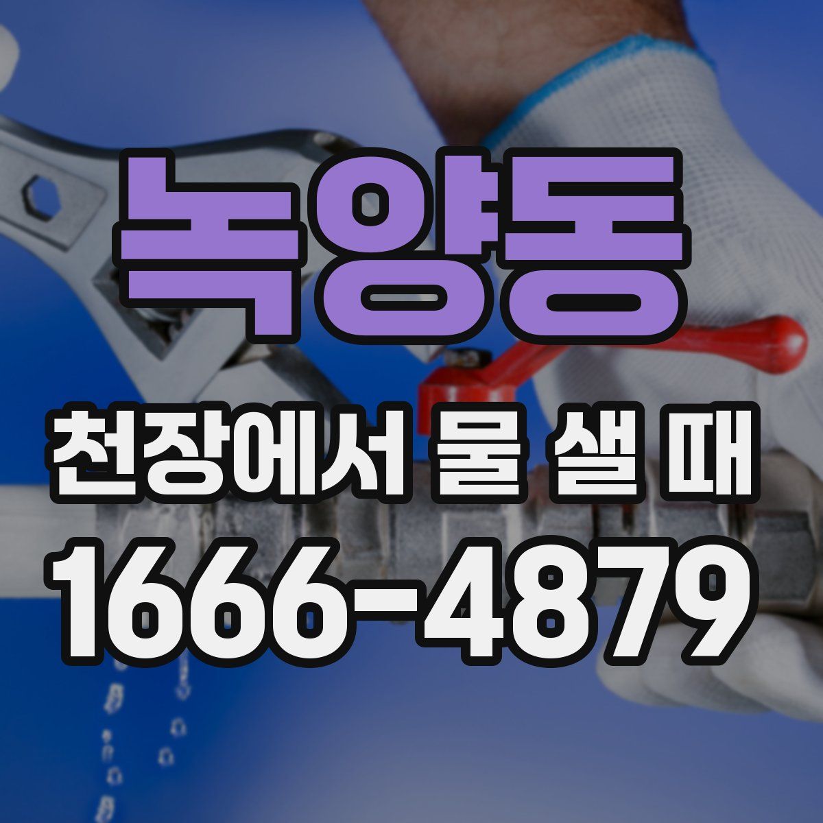 녹양동 천장에서 물 샐 때