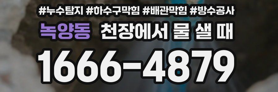 녹양동 천장에서 물 샐 때