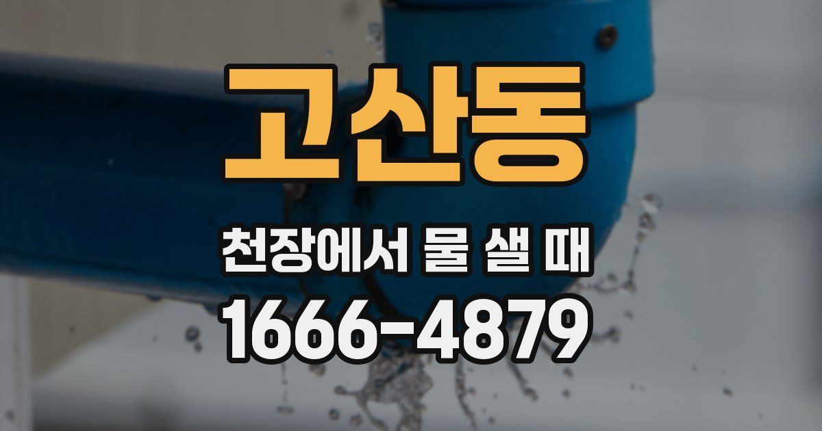 고산동 천장에서 물 샐 때