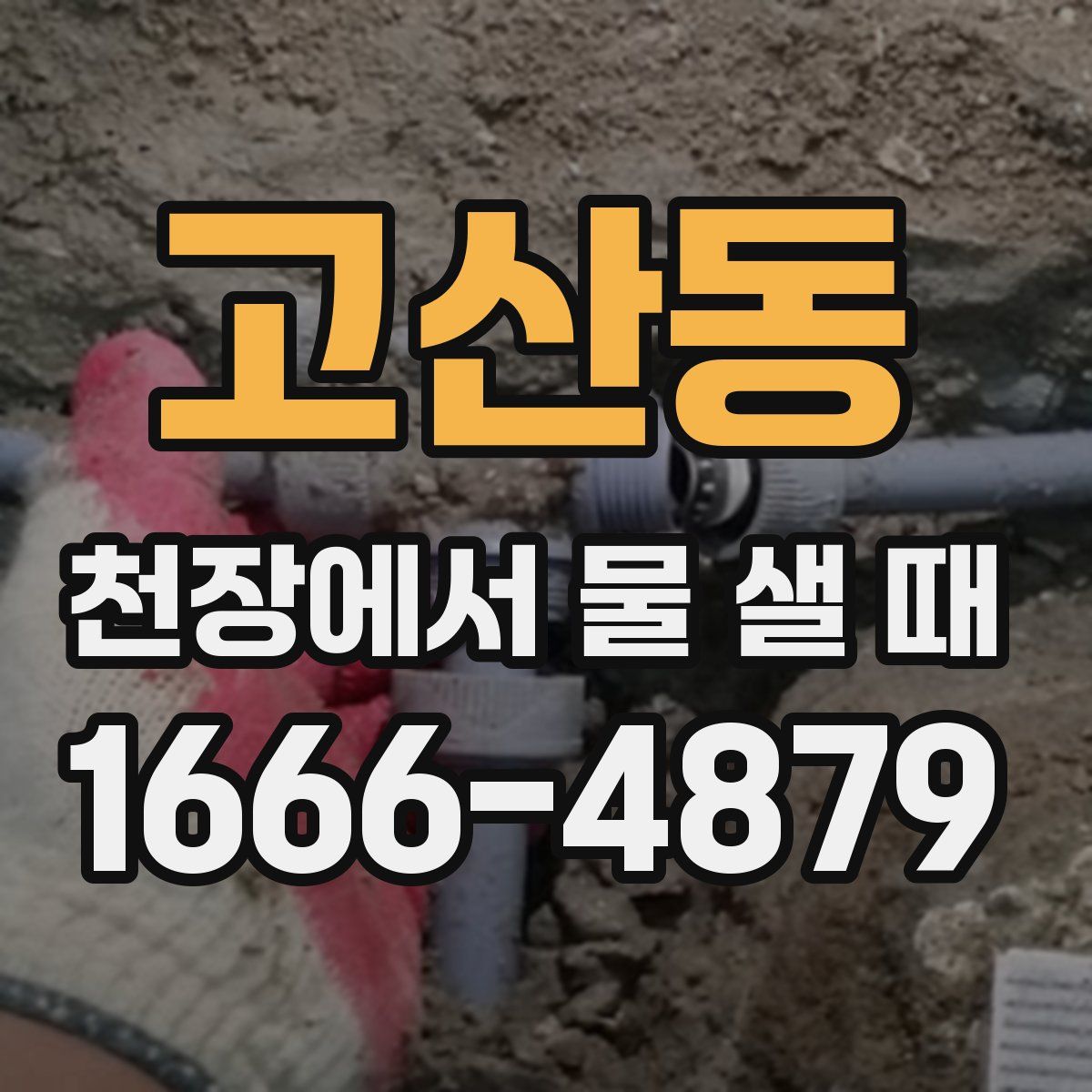 고산동 천장에서 물 샐 때