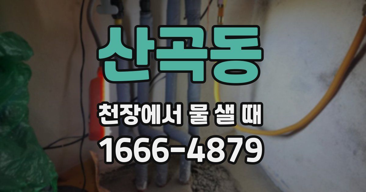 산곡동 천장에서 물 샐 때