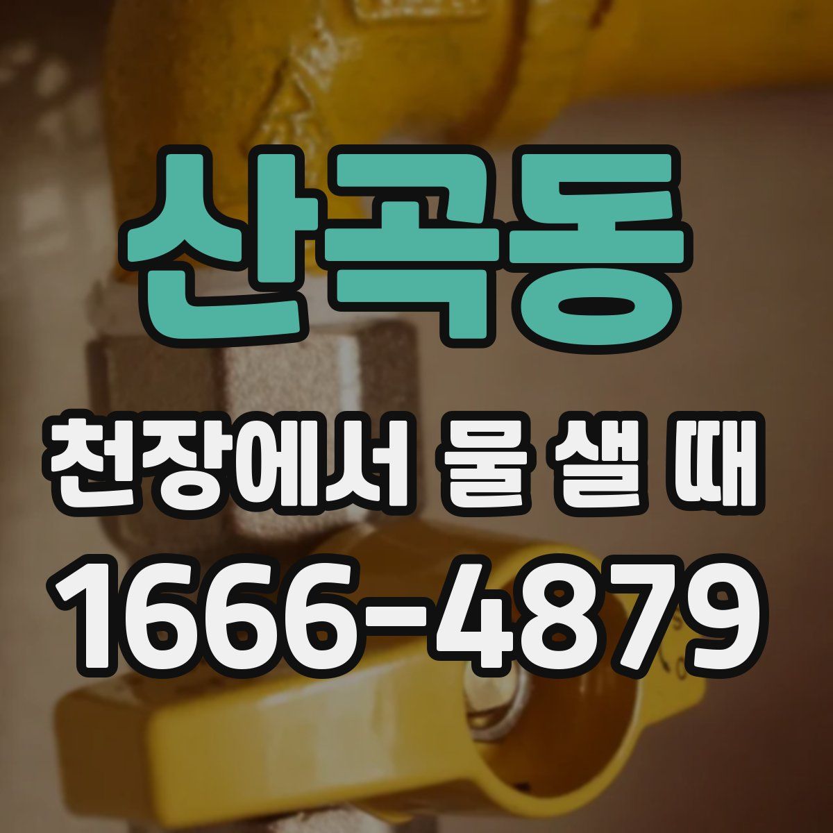 산곡동 천장에서 물 샐 때