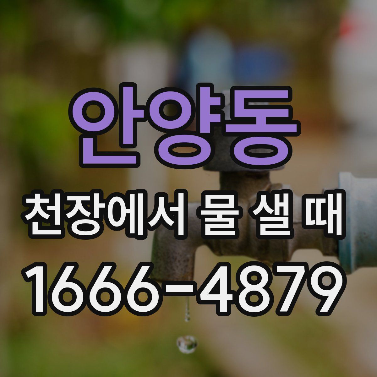 안양동 천장에서 물 샐 때