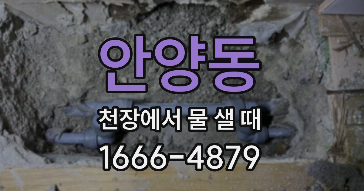 안양동 천장에서 물 샐 때