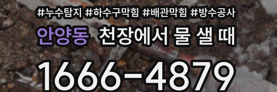 안양동 천장에서 물 샐 때