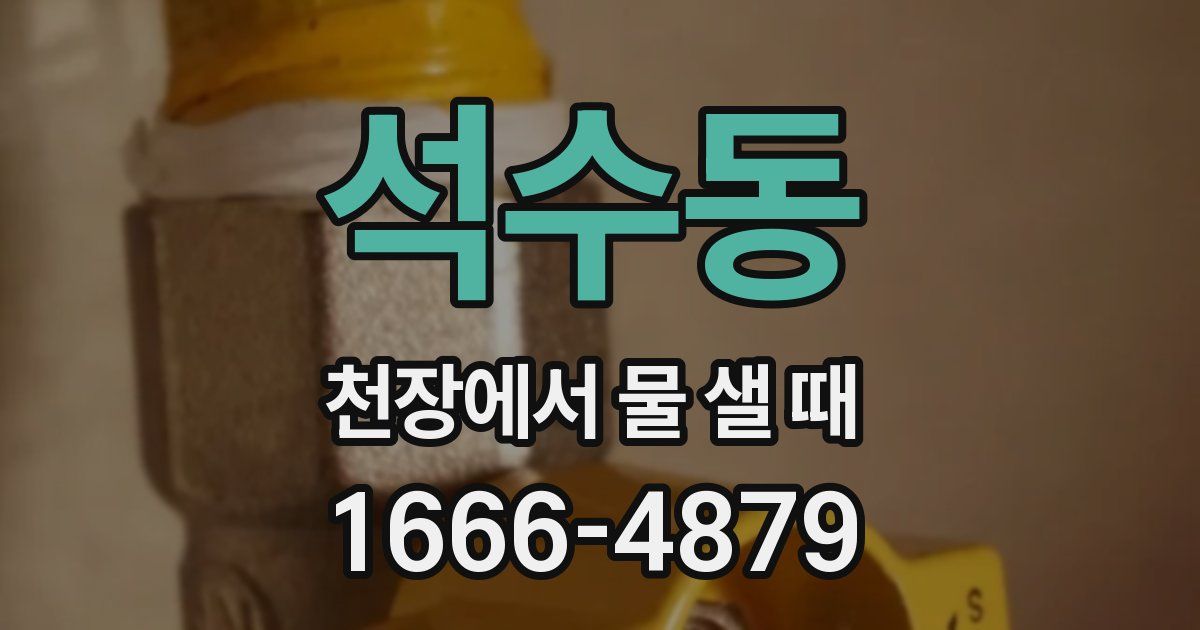 석수동 천장에서 물 샐 때
