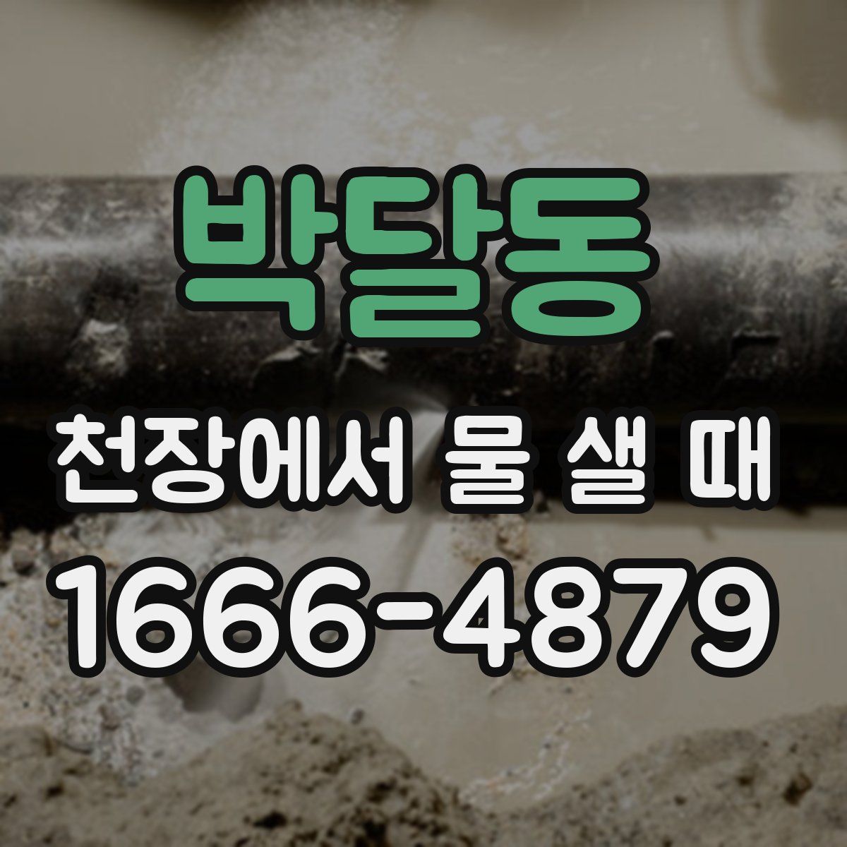 박달동 천장에서 물 샐 때