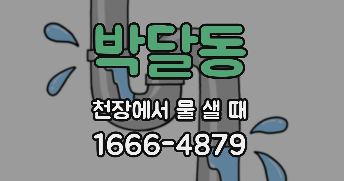 박달동 천장에서 물 샐 때