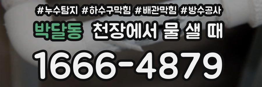 박달동 천장에서 물 샐 때