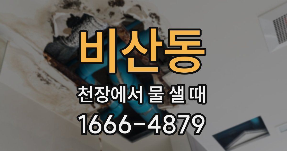 비산동 천장에서 물 샐 때