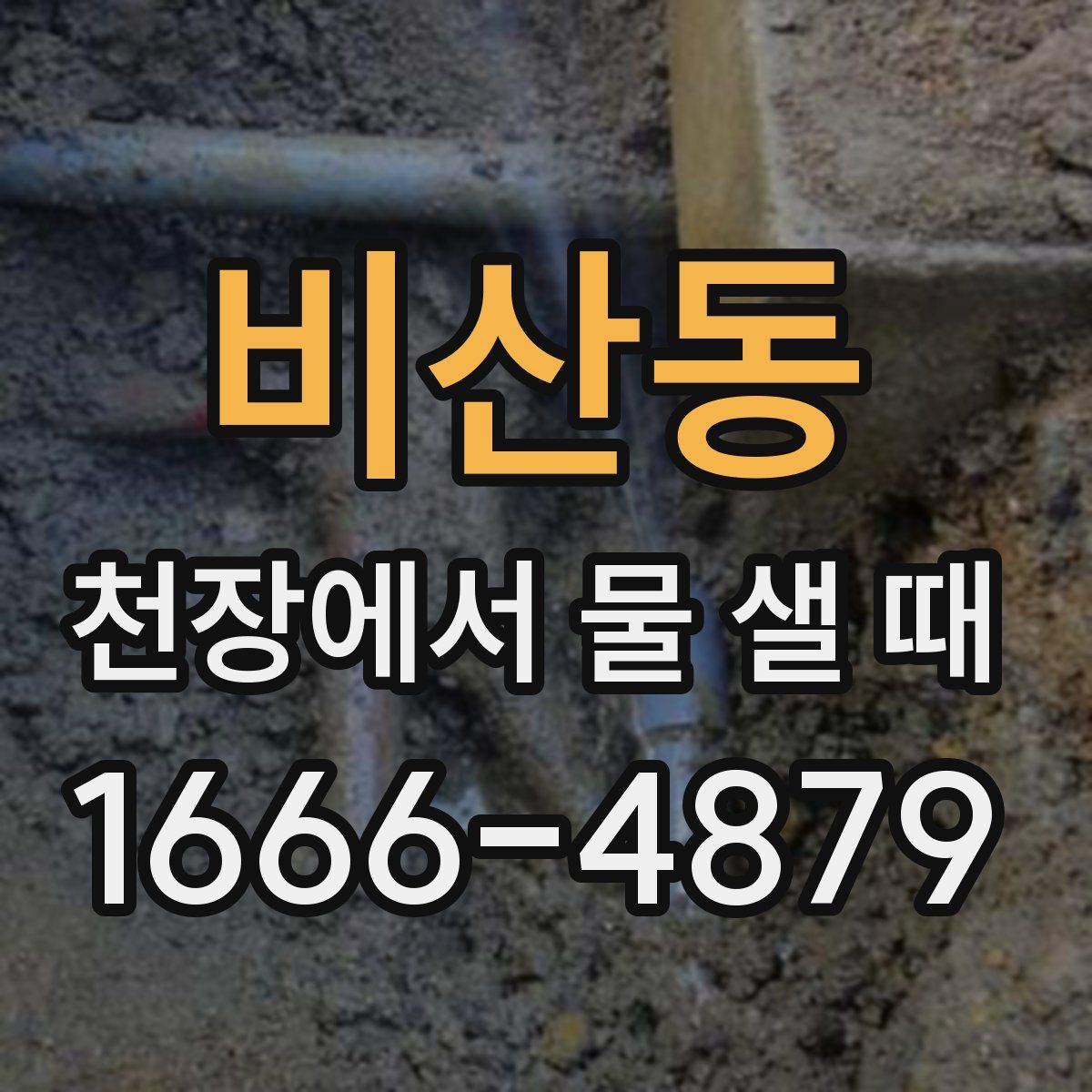 비산동 천장에서 물 샐 때