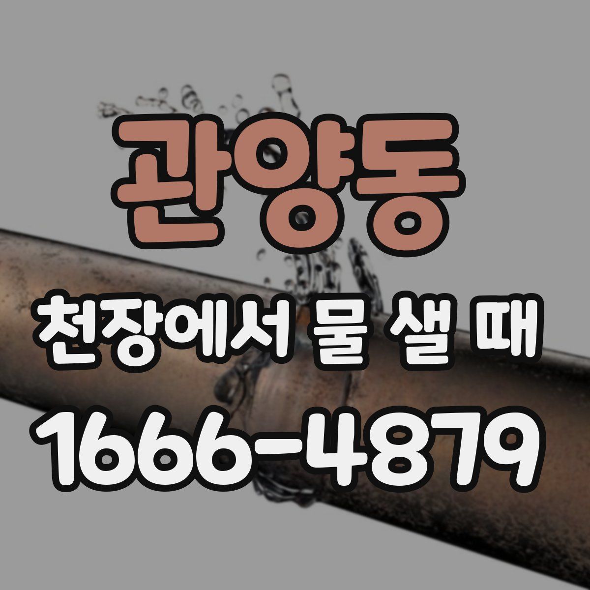 관양동 천장에서 물 샐 때